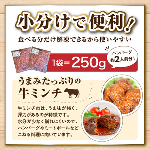 特用牛ミンチ！放牧牛花子の挽き肉3000ｇ！【er008-018】牛肉　ひき肉　挽肉　挽き肉　ミンチ　ミンチ肉　ハンバーグ　ミートソース　ミートボール