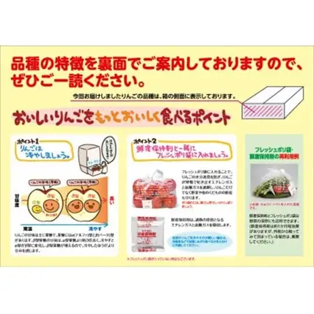 【糖度13度選果 サンふじ＆王林・津軽平野アップルジュース】鮮度保持剤・保存袋付_果物・フルーツ りんご  リンゴ 林檎  飲料・ドリンク りんごジュース 果汁飲料 林檎ジュース アップルジュース リンゴジュース_【配送不可地域：離島・沖縄県】【1508205】
