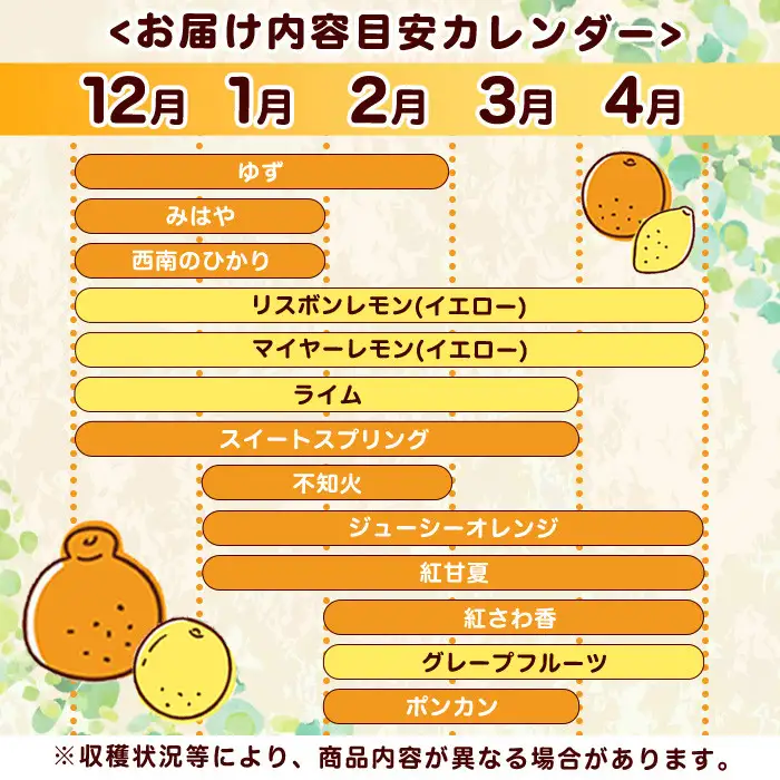 ＜2027年2月発送分！＞旬の柑橘詰合せセット (約10kg) 国産 鹿児島県 阿久根市 果実 果物 フルーツ 柑橘 みかん ミカン 旬 詰め合わせ セット【桐野柑橘株式会社】akn070-16-m02