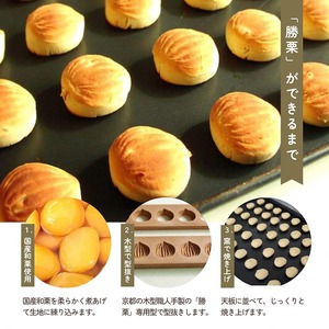 京都の縁起菓子 勝栗 14個セット 和菓子 和菓子