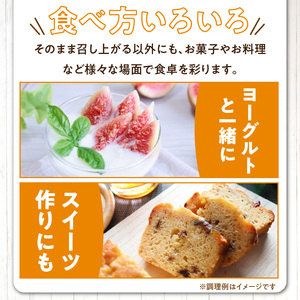 福岡県産 いちじく とよみつひめ 1.2kg 〔Fx013〕