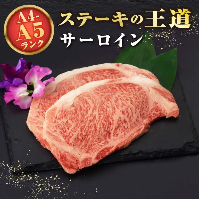 【全6回定期便】【A4～A5ランク】長崎和牛 サーロインステーキ 400g（200g×2枚）《壱岐市》【野中精肉店】 黒毛和牛 牛肉 和牛 赤身 希少部位  138000円 138000 12万円 [JGC032]