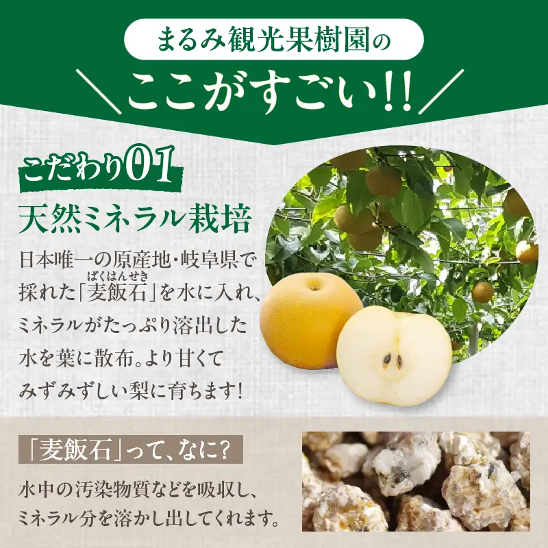 先行予約≪期間限定≫まるみ観光果樹園の『豊水梨』(約3kg) なし 果物 フルーツ 天然 ミネラル栽培_T036-0015