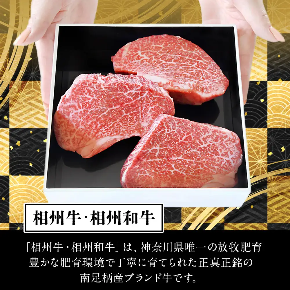 小田原 中川食肉おすすめ　かながわブランド　相州牛ロースステーキ用600ｇ