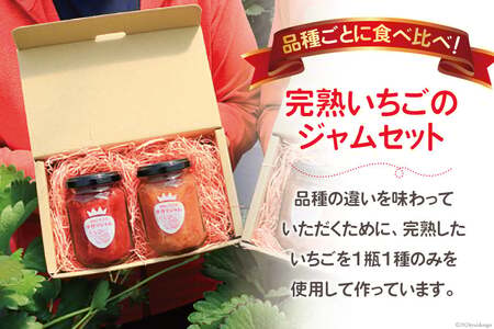 ジャム 無添加 亀の子いちご園自慢の完熟いちごの手作りジャム2本セット