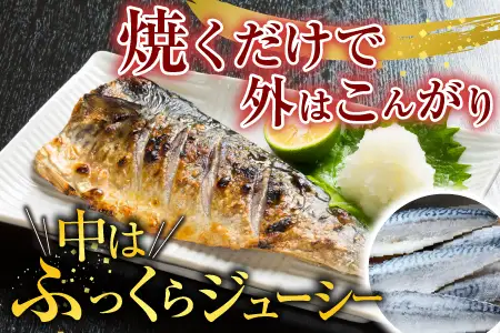 塩さばフィーレ11枚入×1P(計約1.5kg) G-11021