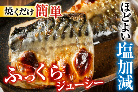 根室海鮮市場＜直送＞塩さばフィーレ11枚入×1P(計約1.5kg) G-28021
