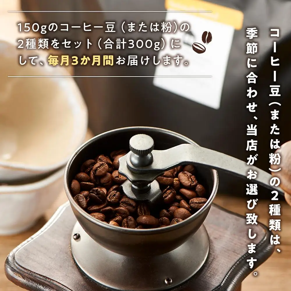 【3か月定期便 向島の珈琲豆焙煎所】スペシャルティコーヒー詰め合わせ