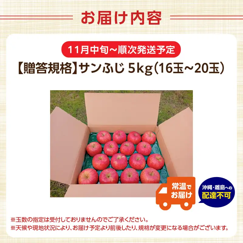 《先行受付》【贈答規格】サンふじ 5kg（16玉～20玉）【2026年11月中旬頃～順次発送予定】 043-005