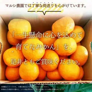 【2027年先行受付】完熟 せとか 青秀品 9～15玉 化粧箱_BF6049n