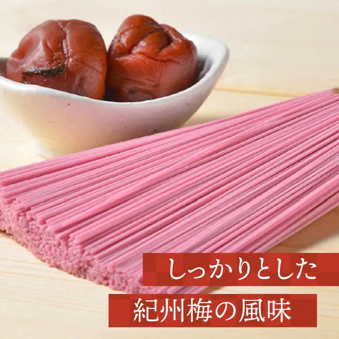 手延べ梅そうめんセット あごだしスープ付き 1.1kg / そうめん 素麺 麺 乾麺 梅 うめ ウメ / 南島原市 / のうち製麺 [SAF043]