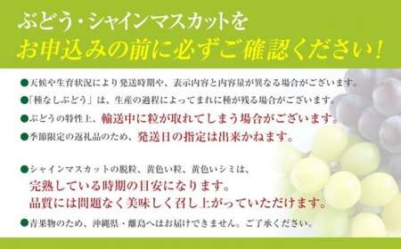 【2026年発送分 先行予約】【高評価】【訳あり】土屋さんのシャインマスカット（４～６房程度・２ｋｇ～２．２ｋｇ） 訳アリ フルーツ 果物 やまなし 山梨 ぶどう