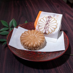 丹波大納言 最中 10個 和菓子 最中 和菓子