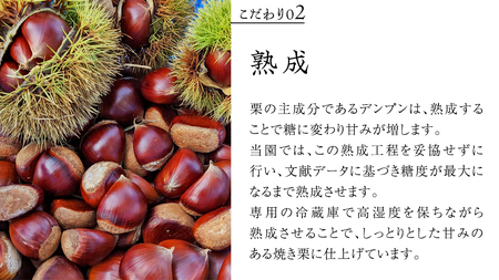 庄七農園 厳選『 最高等級 』氷蔵熟成 焼き和栗 500g【2026年10月発送開始】