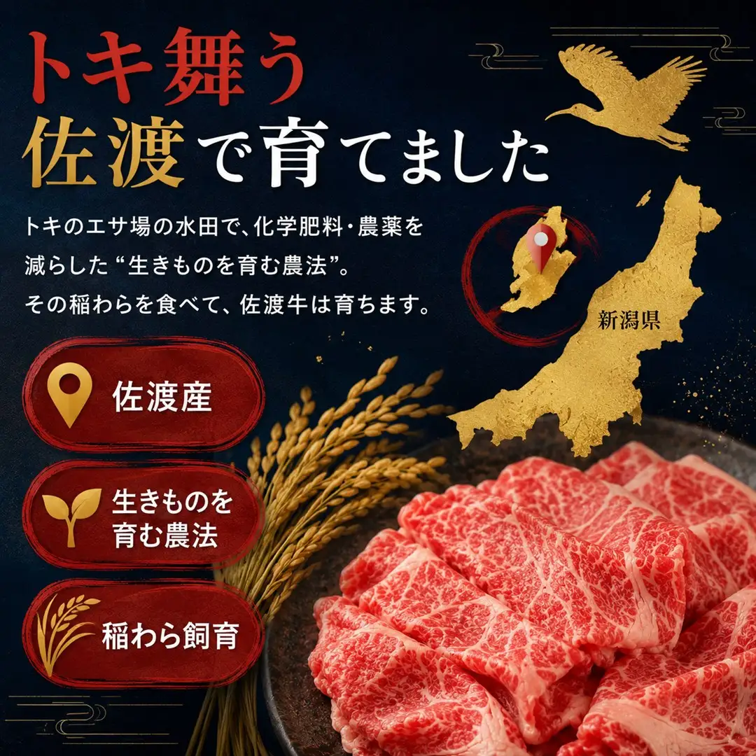  【9月数量限定】和牛 切り落し 400g 冷凍 | 牛肉 国産 新潟県 佐渡市