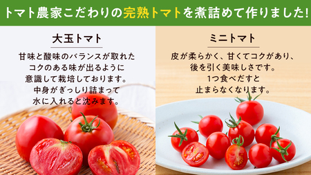 【 先行予約 】【数量限定】-太陽の味- 渋谷トマト トマトジュース500ml×3本セット