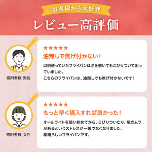 フライパン オールライト セット 蓋付 グレー フライパン