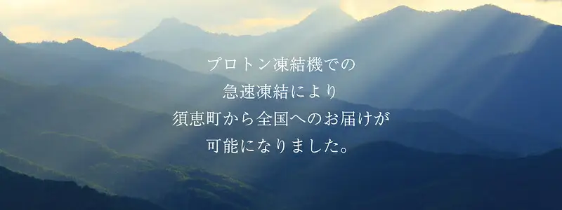 鯖寿司 清広食品 定番3種 食べ比べ セット | 鯖寿司