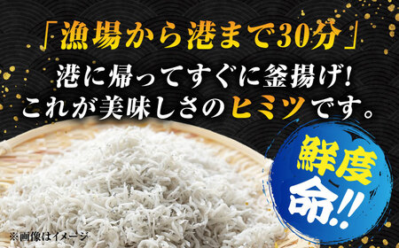冷凍釜揚げしらす1kg しらす[XCN001]
