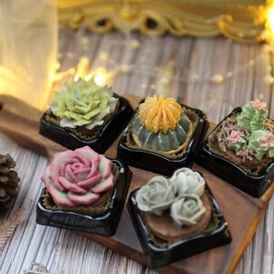 DC-005_【多肉植物クッキー】15個入り 食べられるお花！あんこのお花！【風呂敷ラッピング】　和菓子贈り物