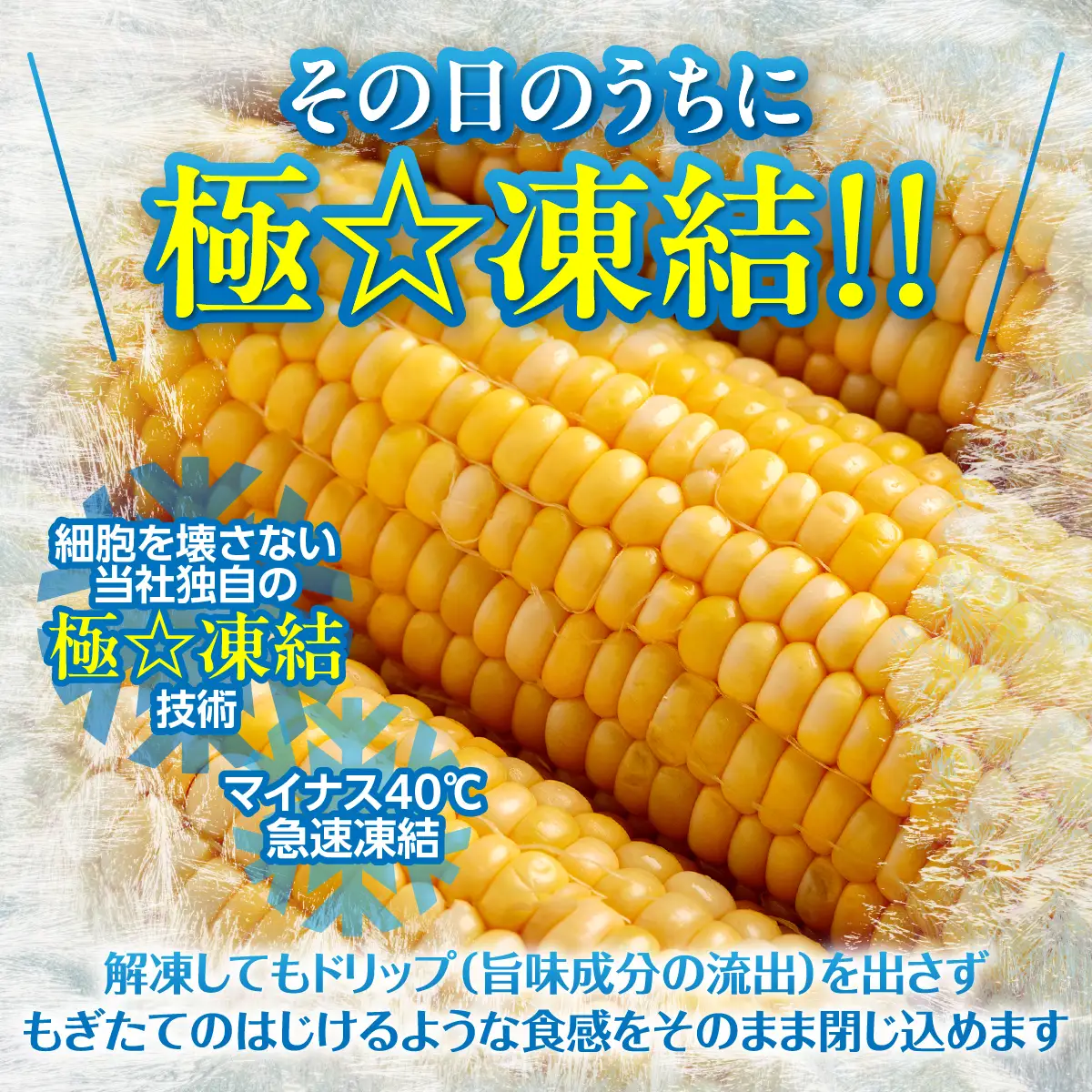 極☆凍結 北海道産スイートコーン HOKP001