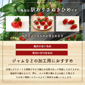 いちご さぬきひめ 訳あり 香川県産 いちご【1.2kg】 【46312611】