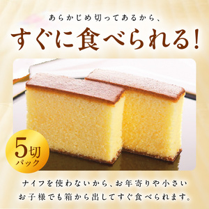 長崎堂自慢の逸品【長崎カステーラ　匠】（1本入） 長崎堂 カステラ カステーラ スイーツ おかし お菓子 手土産 ギフト 小分け 小袋 無添加 無着色 添加物不使用 カット済み カット常温 [008N02]