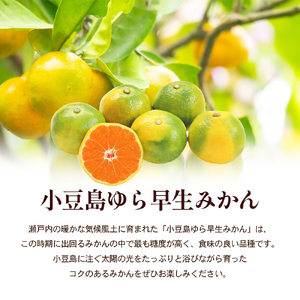 【 小豆島 】小豆島 ゆら早生みかん 約3kg 柑橘 みかん ミカン 果物 フルーツ ゆら早生 ジューシー くだもの 国産 香川 香川県 土庄 土庄町