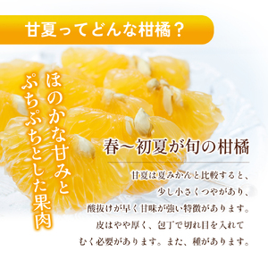 甘夏柑 小豆島産 柑橘 フルーツ 甘夏柑【約5kg】