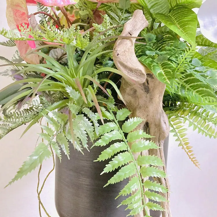 人工観葉植物 天然流木アート『カラティア』｜観葉アレンジ