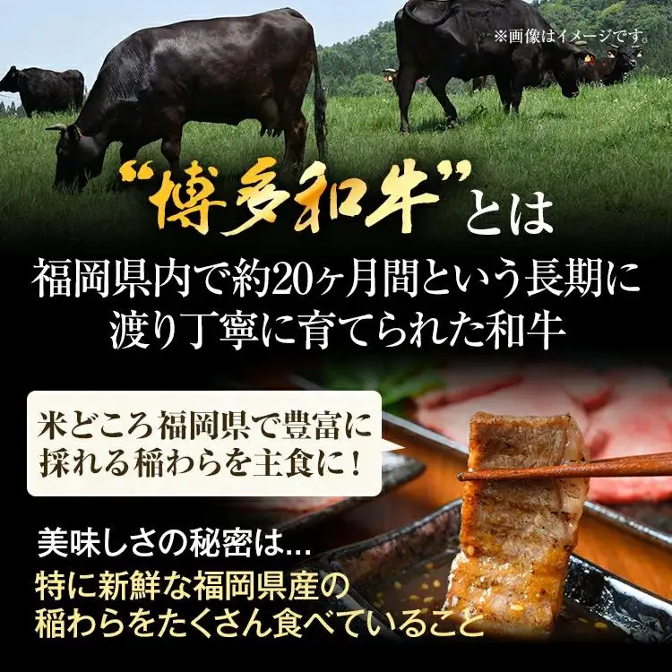 博多和牛焼肉用 500g 黒毛和牛 お取り寄せグルメ お取り寄せ お土産 九州 福岡土産 取り寄せ グルメ MEAT PLUS CP019