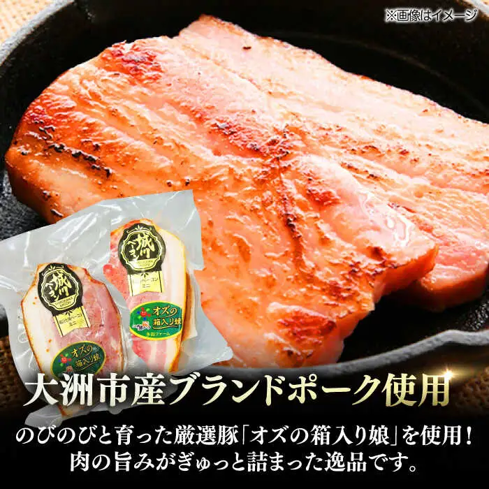 ベーコン ブロック 【プレーン】【七味】 10個セット ベーコン[AGAZ018]