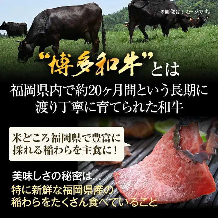博多和牛切り落とし 訳あり A4～A5 (肩ロース・バラ）500g 黒毛和牛 CP021