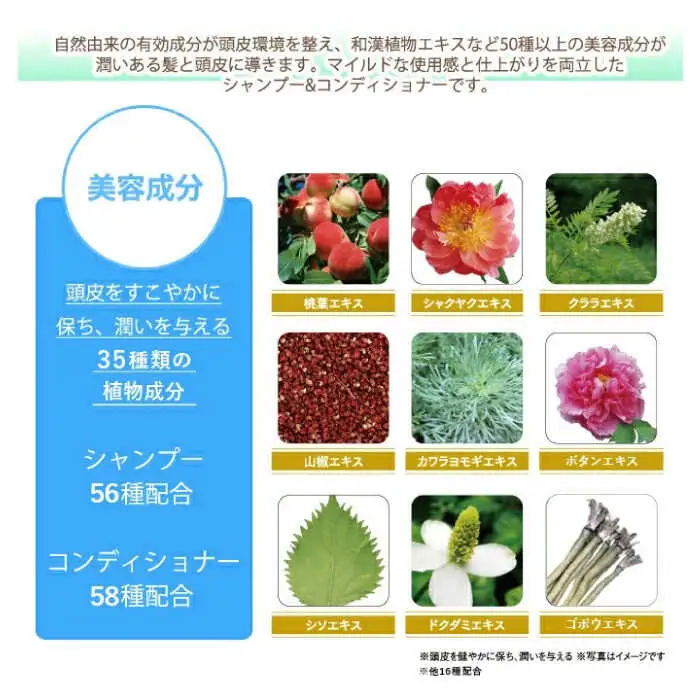 【全3回定期便】［2本セット】［薬用］利尻頭皮シャンプー ［医薬部外品］＋［薬用］利尻頭皮コンディショナー ［医薬部外品］ 糸島市 / 株式会社ピュール ヘアケア シャンプー [AZA103]
