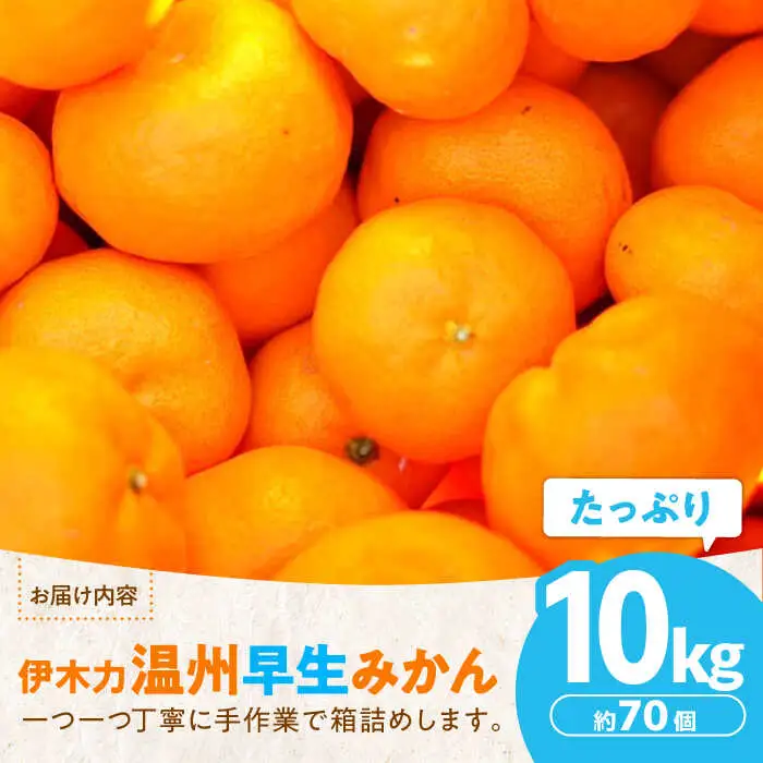 ※【2026年11月より順次発送／先行予約】伊木力温州早生みかん10kg(ご家庭用、箱入り) / みかん 温州みかん 柑橘 蜜柑 ミカン 果物 / 諫早市 / 末永果樹園 [AHBD002]