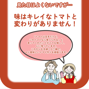 【2027年4月～発送】 トマト 大玉 訳あり 2kg トマトIM