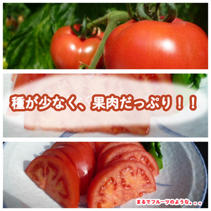【2027年4月～発送】 トマト 2kg 大玉 秀品 Sサイズ トマト IM