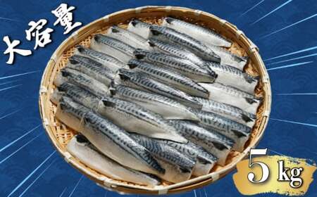 【 スピード配送 】 適塩さば 5kg さば