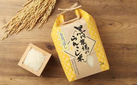 【4ヶ月定期便】 らんこし米 （ななつぼし） 2kg （黒川農場）【2024年10月下旬発送開始】 お米 米 精米 ななつぼし 定期便 北海道 蘭越町