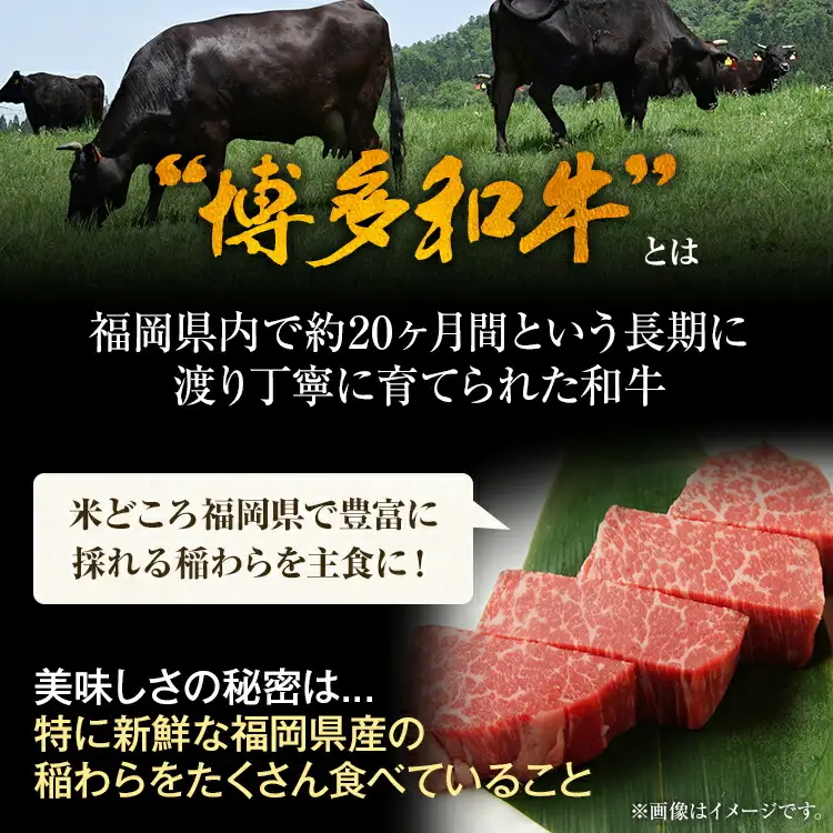 博多和牛ヒレステーキ 450g（150g×3枚） 黒毛和牛 お取り寄せグルメ お取り寄せ お土産 九州 福岡土産 取り寄せ グルメ MEAT PLUS CP029