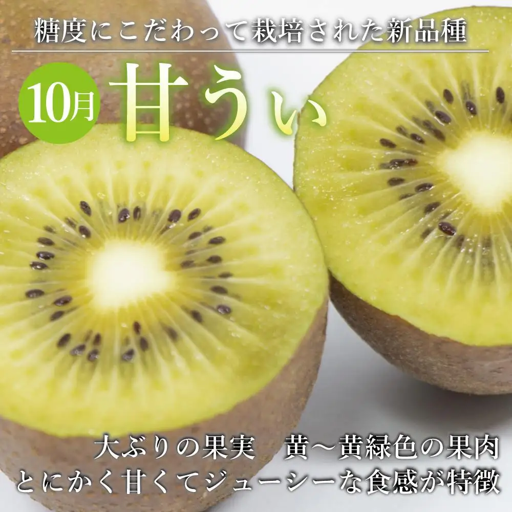 【全3回定期便】福岡県産フルーツ定期便