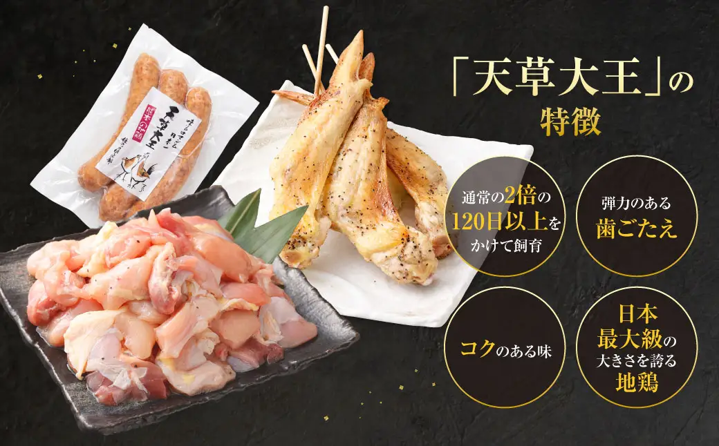 天草大王プレミアムバーベキューセット（大） 計18パック 天草大王 焼鳥 手羽先 串 ウインナー コロコロカット