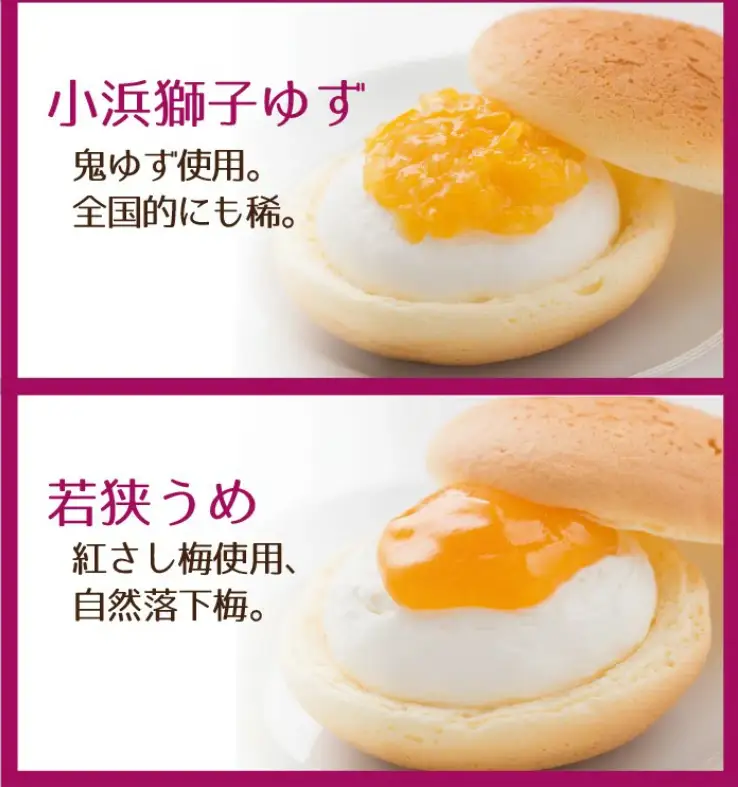ふわとろカスタード10個入り（5種×各2個）【甘さ控えめ 洋菓子 ブッセ スイーツ 福井県産 フルーツ チーズ風味 高井屋】[A-019002]