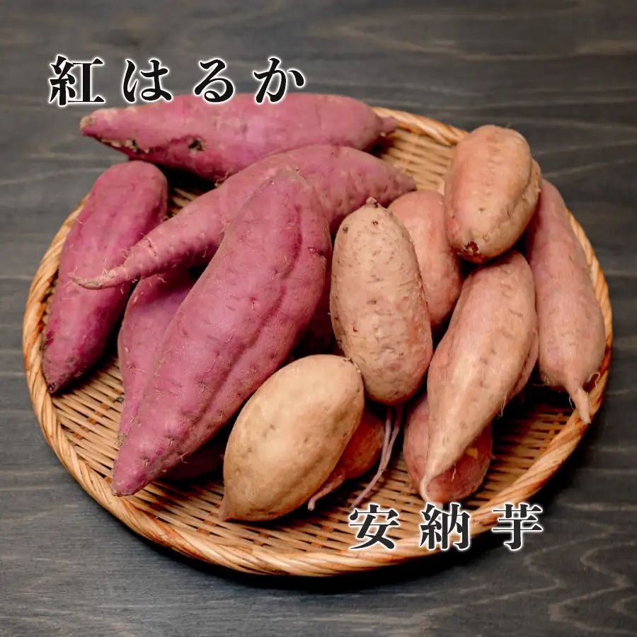 さつまいも 食べ比べ 約10kg 紅はるか 安納芋 各約5kg 熟成 焼き芋 焼芋 やきいも しっとり ねっとり 蜜芋 芋 おいも サツマイモ さつま芋 べにはるか 安納いも スイーツ おやつ 国産 産地直送 栽培期間中農薬不使用 高知県 大月町産