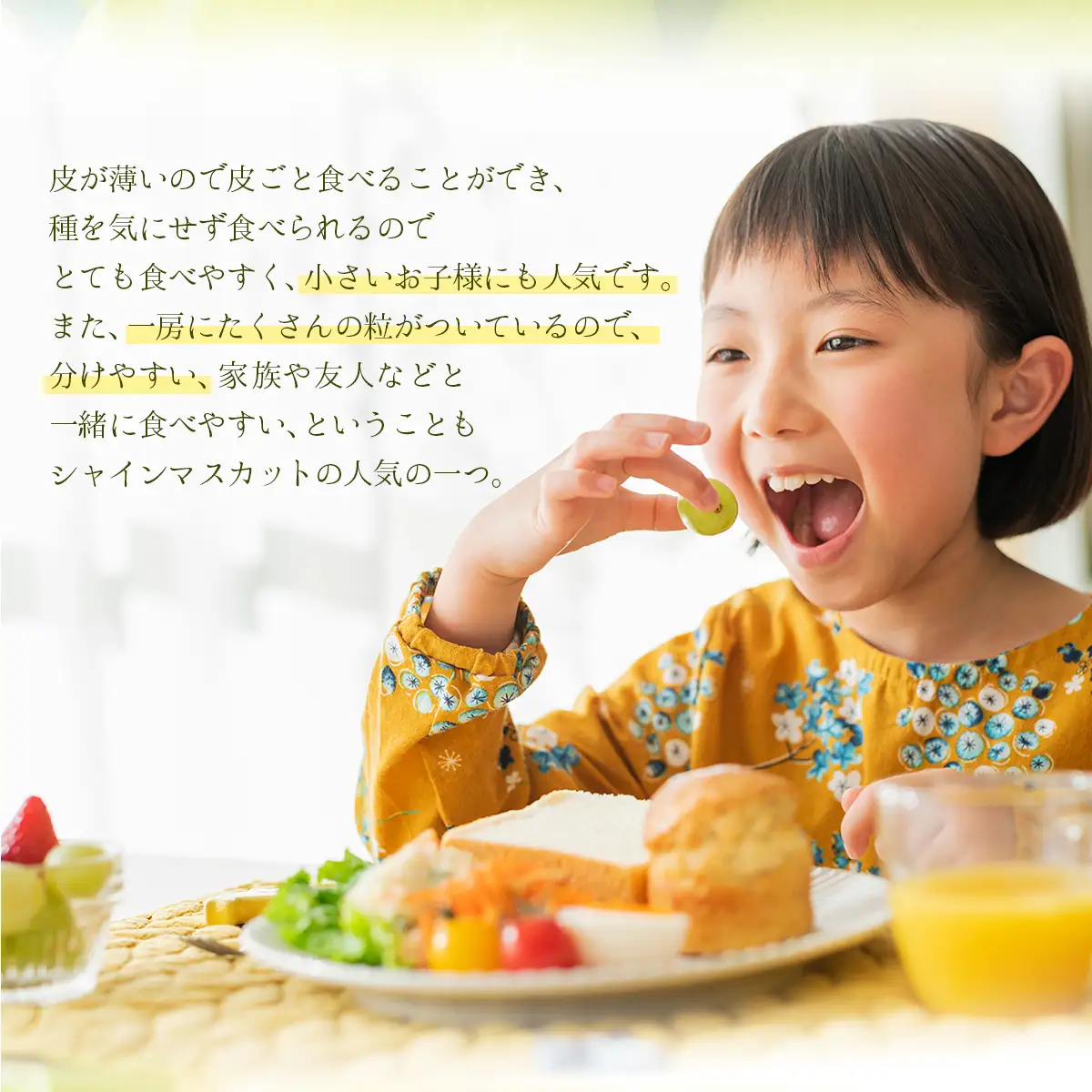 【期間限定】鏡野町産 シャインマスカット 2kg（2～4房）