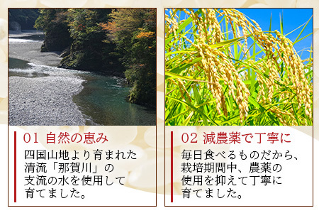 「令和6年産 新米 先行受付」 那賀町相生産 きぬむすめ 白米 10kg 1袋 「2024年10月上旬より発送」 【徳島 那賀 国産 徳島県産 お米 こめ おこめ 米 ご飯 ごはん 白ご飯 白米 10キロ 和食 おにぎり お弁当 白米 精米 おいしい 食べて応援 お取り寄せ 産地直送】YS-35