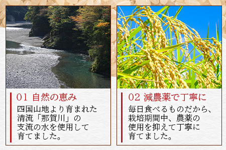 「令和6年産 新米 先行受付」 那賀町相生産 きぬむすめ 玄米 5kg 1袋 「2024年10月上旬より発送」 【徳島 那賀 国産 徳島県産 お米 こめ おこめ 米 ご飯 ごはん 玄米 5キロ 和食 おにぎり お弁当 おいしい 玄米 食べて応援 お取り寄せ 産地直送】YS-36