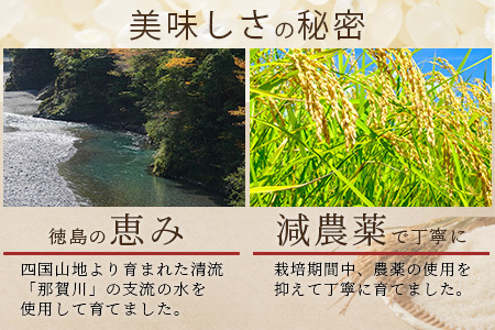 「令和6年産 新米 先行受付」 那賀町相生産 てんこもり 白米 10kg 1袋 「2024年10月上旬より発送」 【徳島 那賀 国産 徳島県産 特A ブランド米 お米 こめ おこめ 米 ご飯 ごはん 白ご飯 白米 10キロ 和食 おにぎり お弁当 白米 精米 おいしい 食べて応援 お取り寄せ 産地直送】YS-39