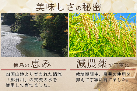「令和6年産 新米 先行受付」 那賀町相生産 てんこもり 玄米 5kg 1袋 「2024年10月上旬より発送」 【徳島 那賀 国産 徳島県産 特A ブランド米 お米 こめ おこめ 米 ご飯 ごはん 玄米 5キロ 和食 おにぎり お弁当 玄米 おいしい 食べて応援 お取り寄せ 産地直送】YS-40