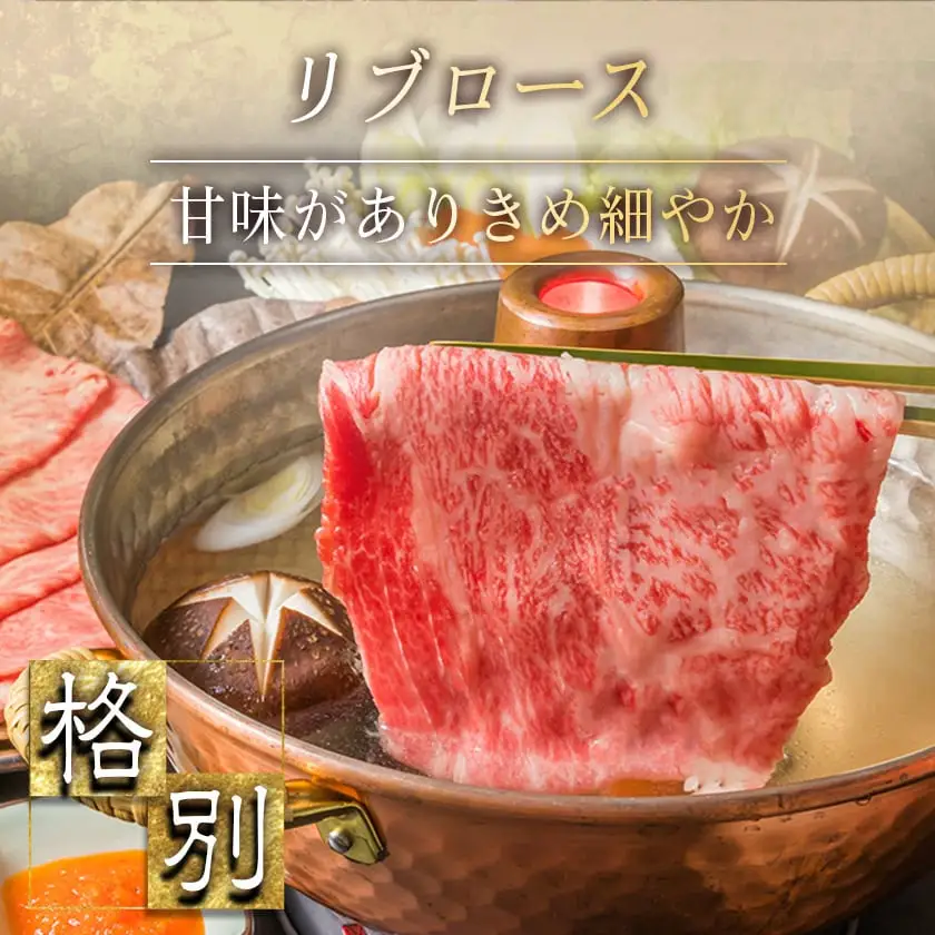 宮崎牛スライスセット1kg〔AC-2526〕_(都城市) 宮崎牛 上級ランク リブロース スライス ウデ モモ 500g 霜降りすき焼き